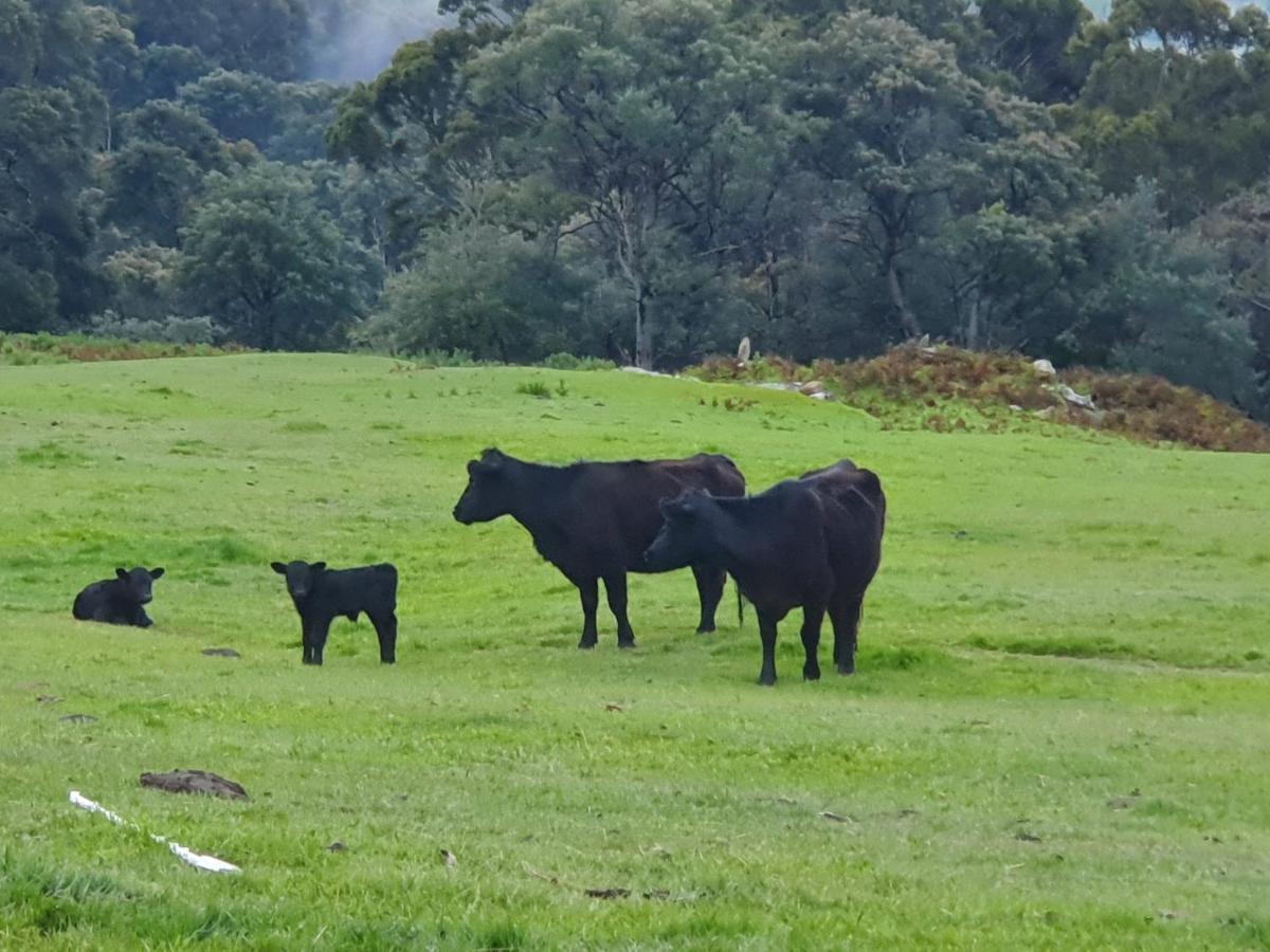 פורט ארתור Ruby'S Cottage Farm Stay מראה חיצוני תמונה