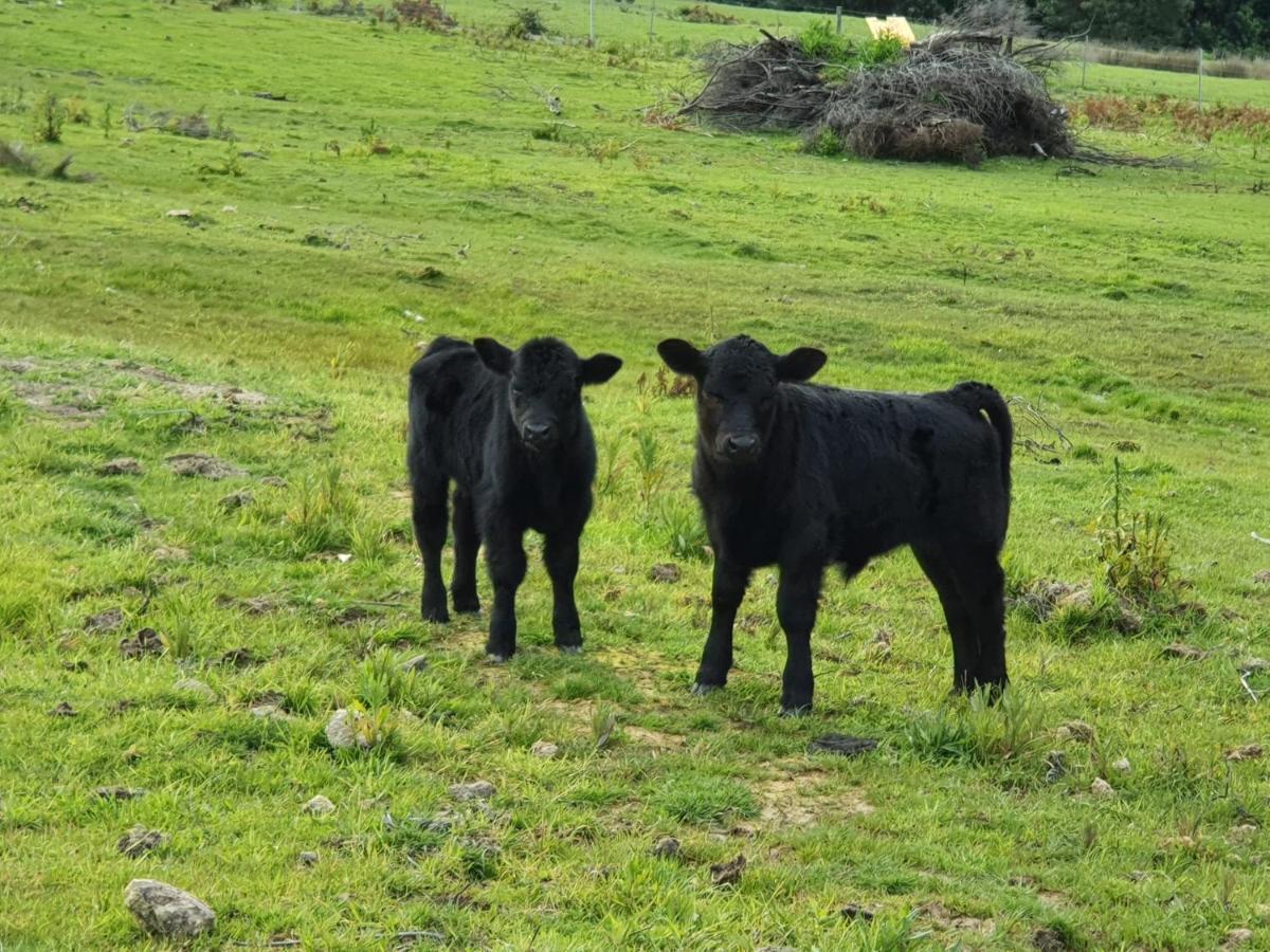 פורט ארתור Ruby'S Cottage Farm Stay מראה חיצוני תמונה